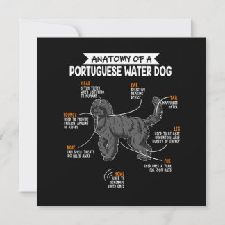 Anatomy Of A Portuguese Water Dog Dog Owner Gift Invitation