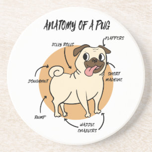 ANATOMY OF A PUG COASTER