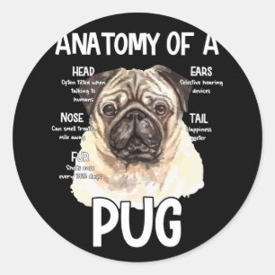 Anatomy Of A Pug For Dog Lovers Classic Round Sticker