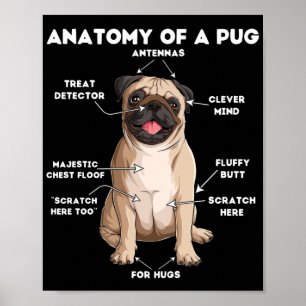 Anatomy of a Pug Poster