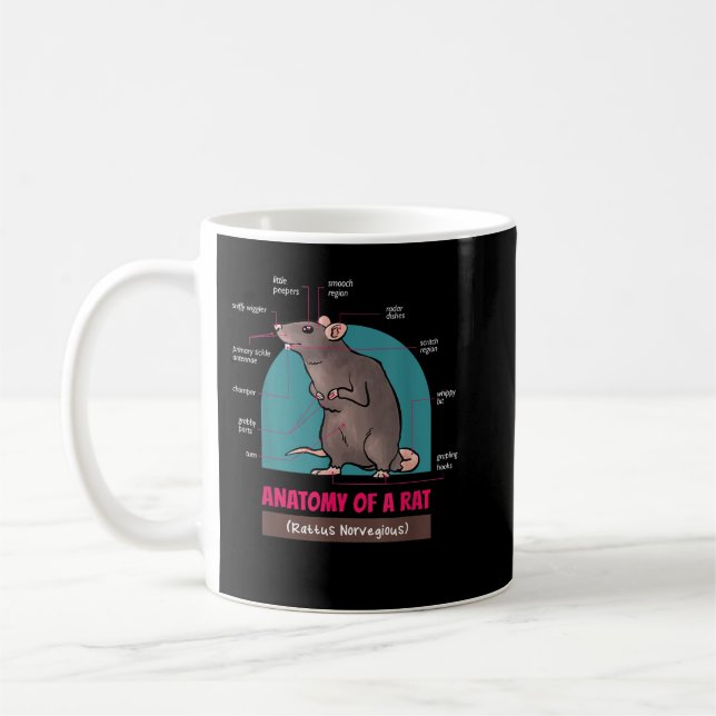 Anatomy Of A Rat Rattus Norvegious Rats  Coffee Mug (Left)