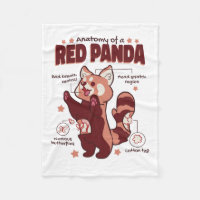 Anatomy of a Red Panda Animal Lover