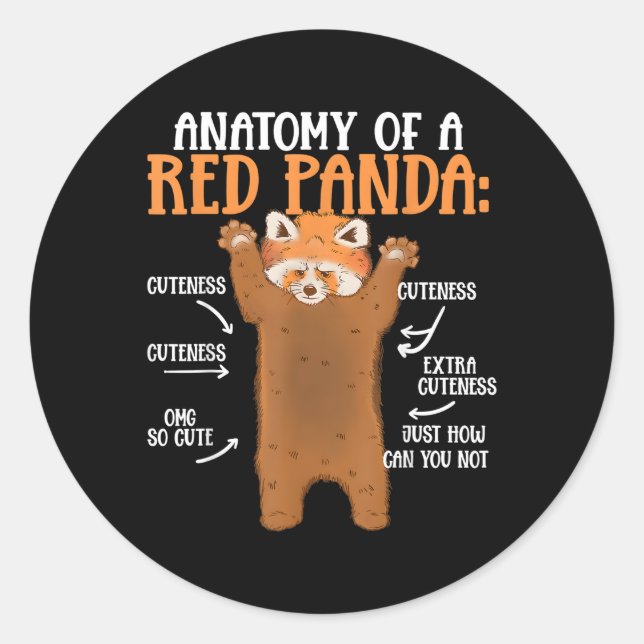 Anatomy Of A Red Panda Science Zoologist Panda Classic Round Sticker (Front)