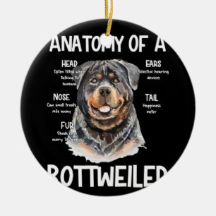 Anatomy Of A Rottweiler For Dog Lovers Ceramic Tree Decoration