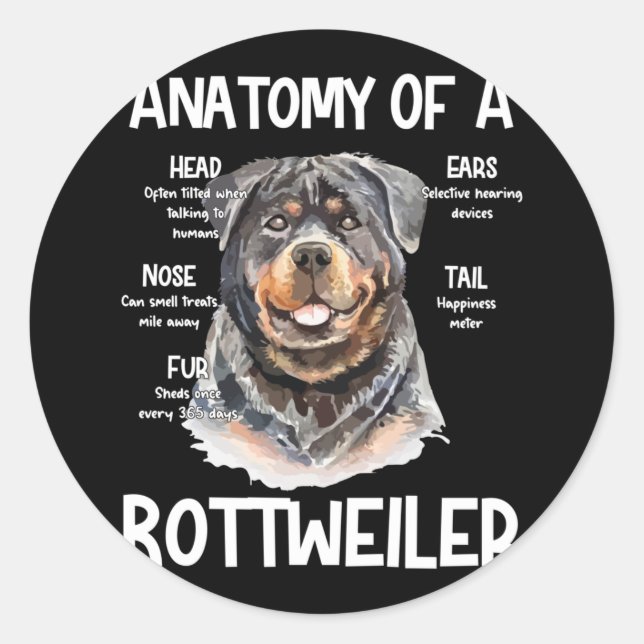 Anatomy Of A Rottweiler For Dog Lovers Classic Round Sticker (Front)