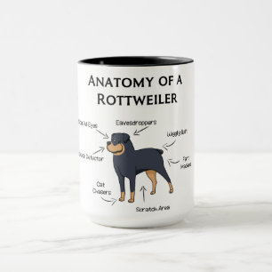 Anatomy Of A Rottweiler Mug