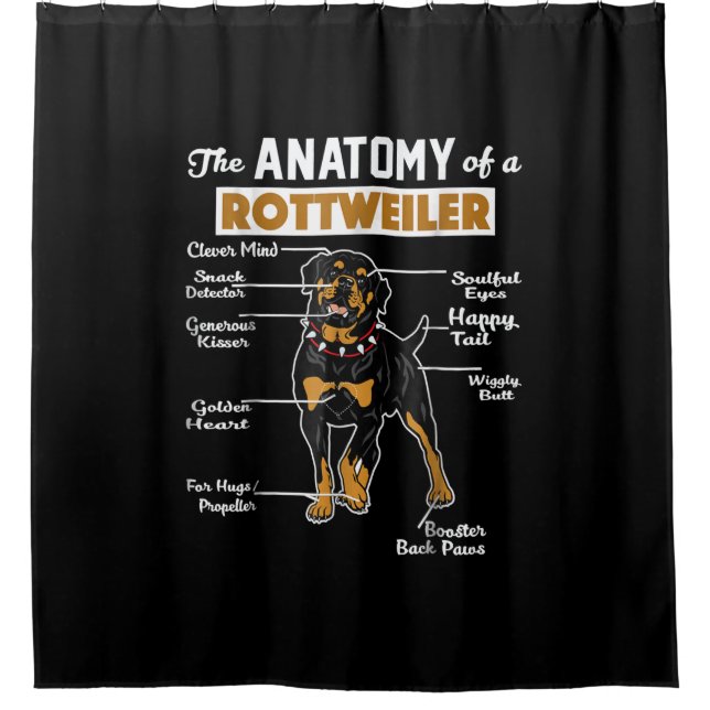 Anatomy of a Rottweiler Shower Curtain (Front)