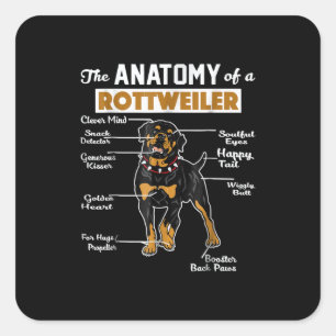 Anatomy of a Rottweiler Square Sticker