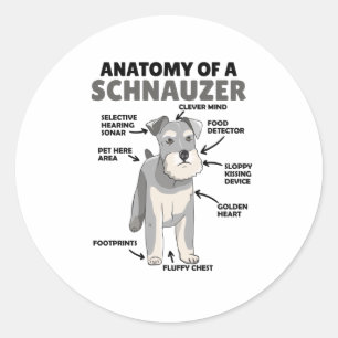 Anatomy Of A Schnauzer Cute Dog Puppy Classic Round Sticker