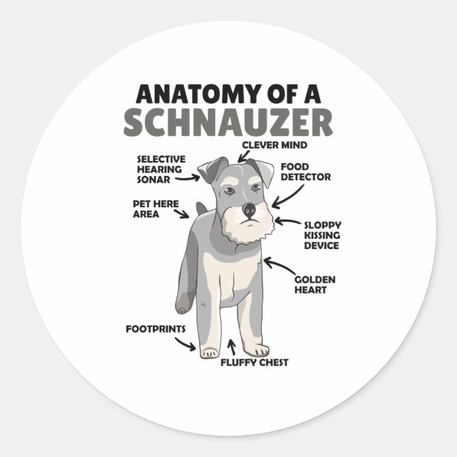Anatomy Of A Schnauzer Cute Dog Puppy Classic Round Sticker (Front)