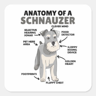 Anatomy Of A Schnauzer Cute Dog Puppy Square Sticker