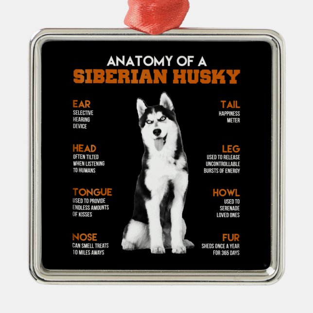 Anatomy of a Siberian Husky dogs funny Art Metal Tree Decoration (Front)