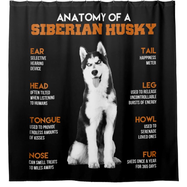 Anatomy of a Siberian Husky dogs funny Art Shower Curtain (Front)