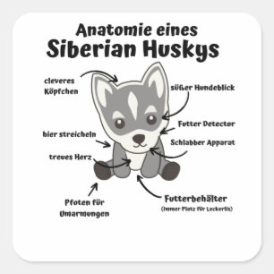 Anatomy Of A Siberian Husky Sweet Dog Puppy Square Sticker