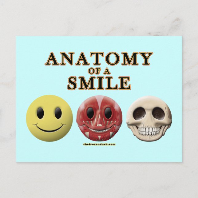 Anatomy of a Smile Postcard (Front)