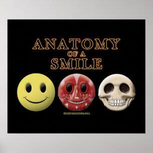 Anatomy of a Smile Poster