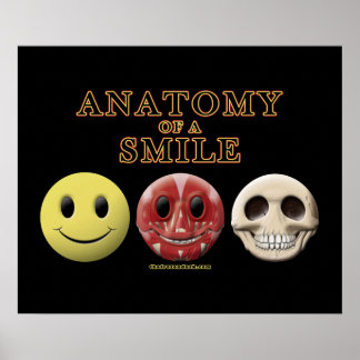 Anatomy of a Smile Poster