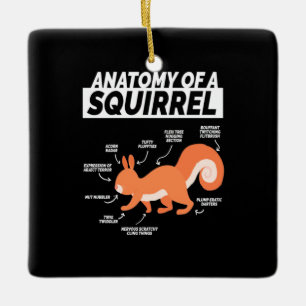 Anatomy Of A Squirrel Ceramic Ornament