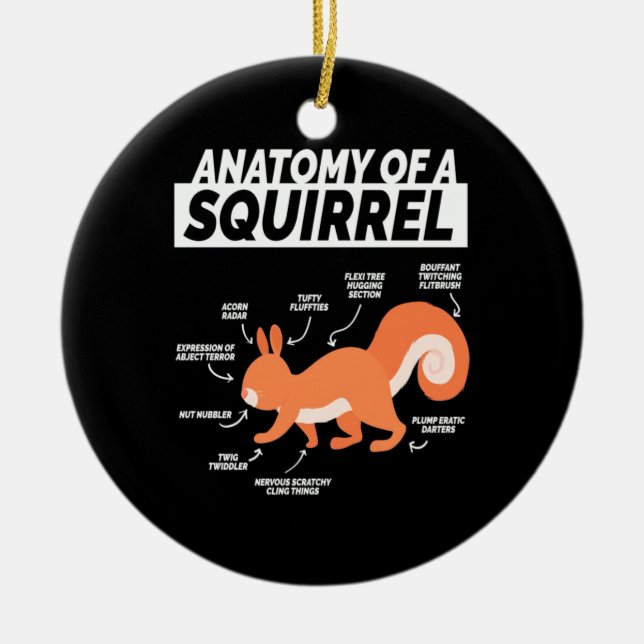 Anatomy Of A Squirrel Ceramic Tree Decoration (Front)