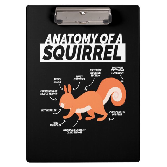 Anatomy Of A Squirrel Clipboard (Front)