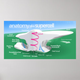 Anatomy of a Supercell Storm Diagram Poster