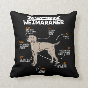 Anatomy Of A Weimaraner Dog Cushion