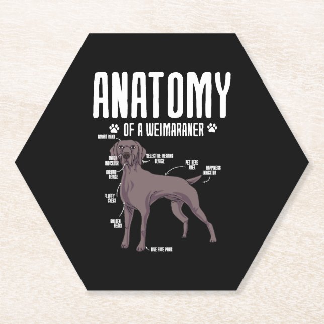 Anatomy Of A Weimaraner Paper Coaster (Front)