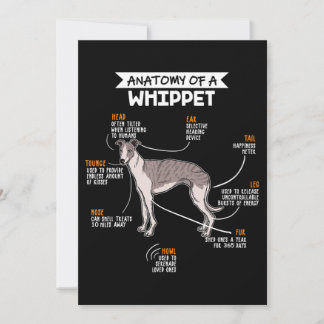 anatomy of a whippet dog funny dog lover gift holiday card