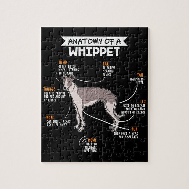anatomy of a whippet dog funny dog lover gift jigsaw puzzle (Vertical)