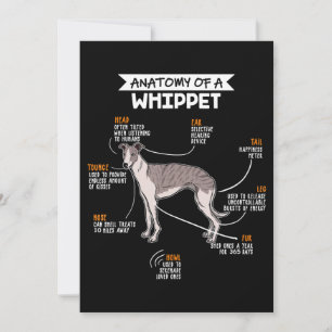 anatomy of a whippet dog funny dog lover gift thank you card