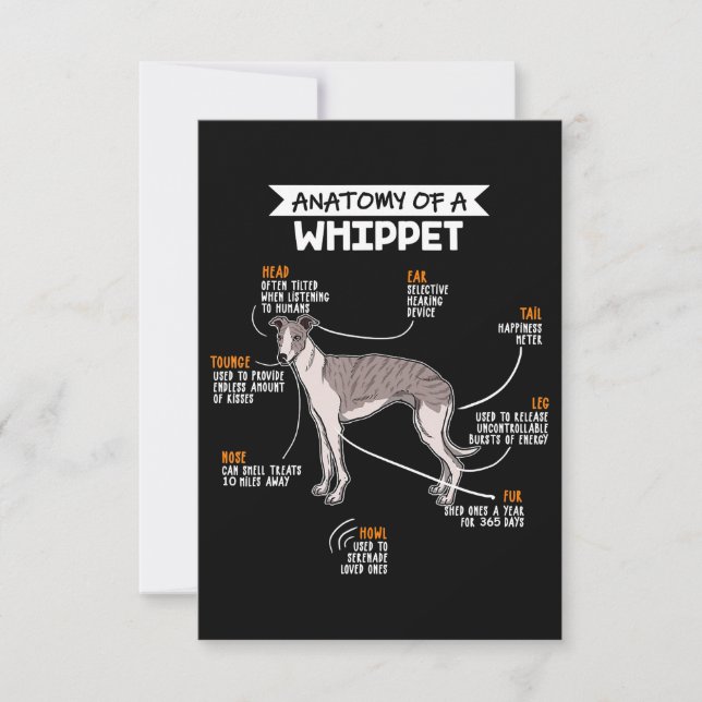 anatomy of a whippet dog funny dog lover gift thank you card (Front)