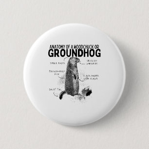 Anatomy Of A Woodchuck Or Groundhog Funny Animal R 6 Cm Round Badge