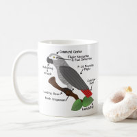 Anatomy of an African Grey Parrot