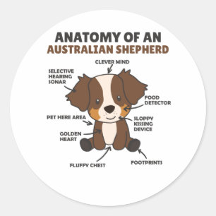 Anatomy Of An Australian Shepherd Sweet Dogs Classic Round Sticker
