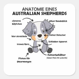 Anatomy Of An Australian Shepherd Sweet Dogs Square Sticker