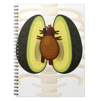 Anatomy of an Avocado Notebook