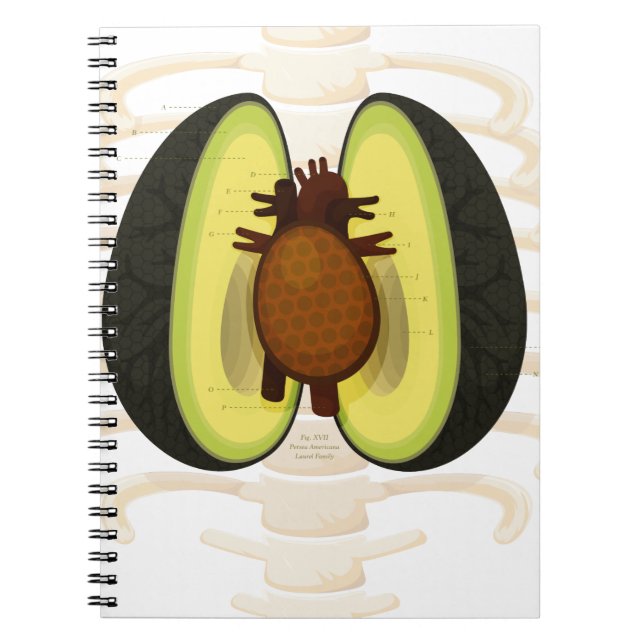 Anatomy of an Avocado Notebook (Front)