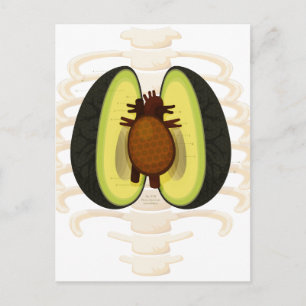 Anatomy of an Avocado Postcard