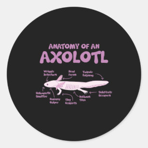 anatomy of an axolotl  axolotls biology science  . classic round sticker