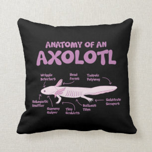 anatomy of an axolotl axolotls biology science . cushion