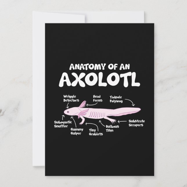 anatomy of an axolotl  axolotls biology science holiday card (Front)
