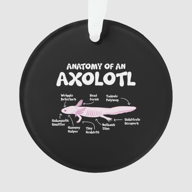 anatomy of an axolotl  axolotls biology science ornament (Front)