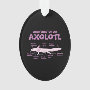 anatomy of an axolotl  axolotls biology science  . ornament