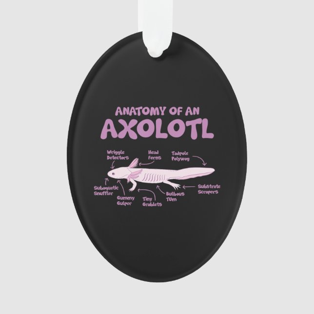 anatomy of an axolotl  axolotls biology science  . ornament (Front)