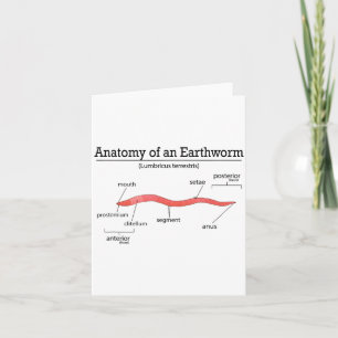 Anatomy Of An Earthworm Funny Worm Earthworm Lover Card