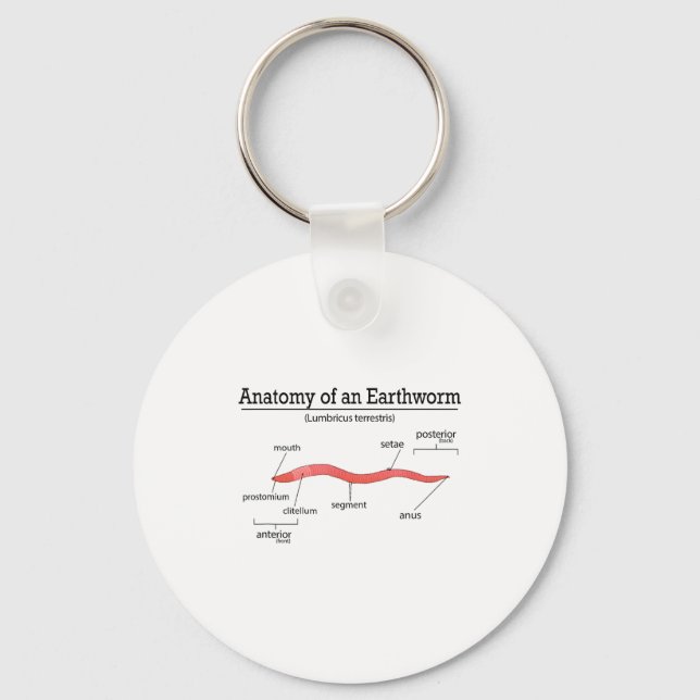 Anatomy Of An Earthworm Funny Worm Earthworm Lover Key Ring (Front)