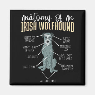 Anatomy Of An Irish Wolfhound Magnet