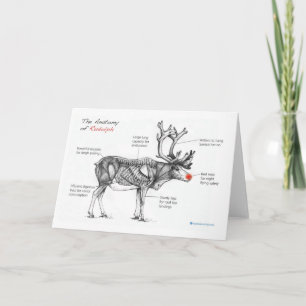 Anatomy of Christmas Card