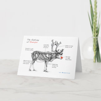 Anatomy of holiday card