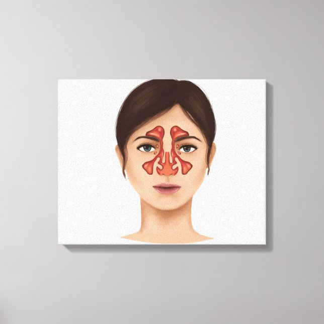 Anatomy Of Nasal Sinuses Canvas Print (Front)